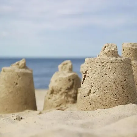 In Near Baltic Sea *
